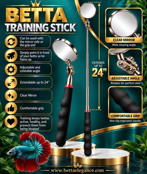 BETTA TRAINING MIRROR STICK